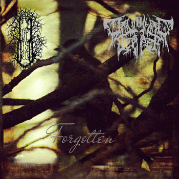 Drowning Deeper : Forgotten